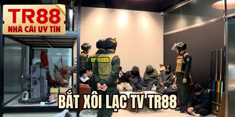 Bắt xôi lạc TV TR88