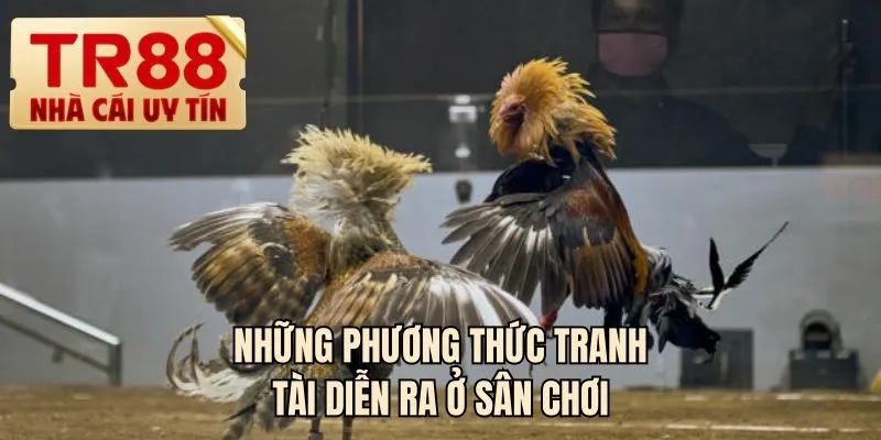 Những phương thức tranh tài diễn ra ở sân chơi